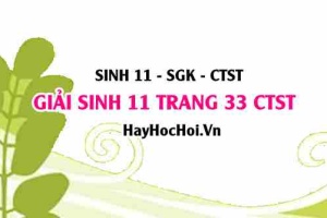 Giải Sinh 11 trang 33 Chân trời sáng tạo SGK